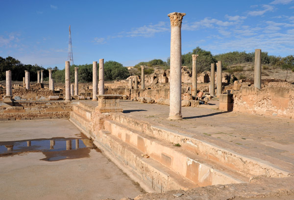 LibyaDec10 0498.jpg
