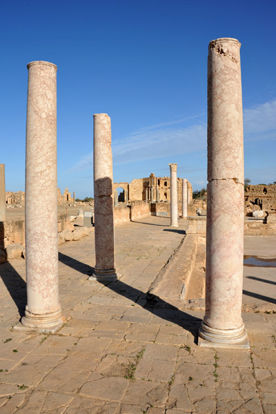 LibyaDec10 1213.jpg