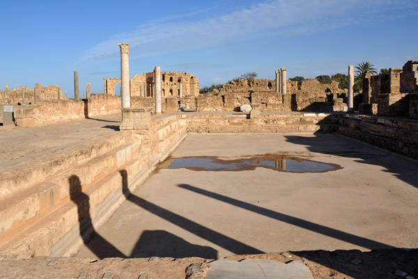 LibyaDec10 1214.jpg