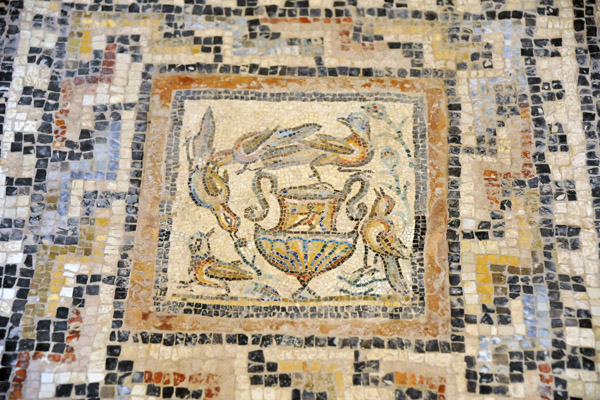 Mosaic - Roman Museum, Sabratha
