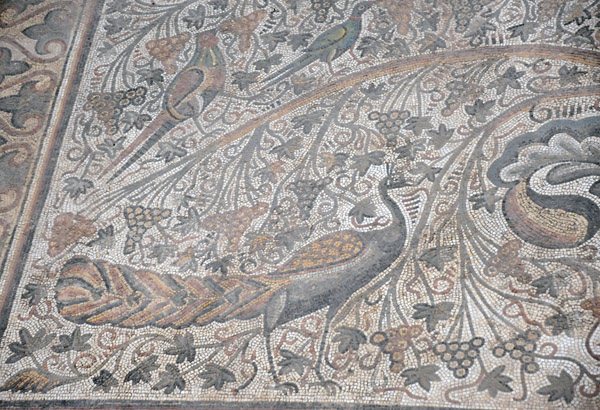 Basilica of Justinian - Tree of Life mosaic, Sabratha