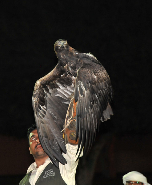 Bird Show - Al Ain Wildlife Park