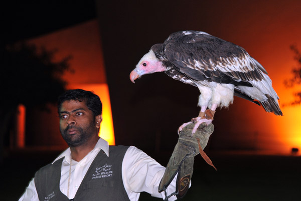 Bird Show - Al Ain Wildlife Park