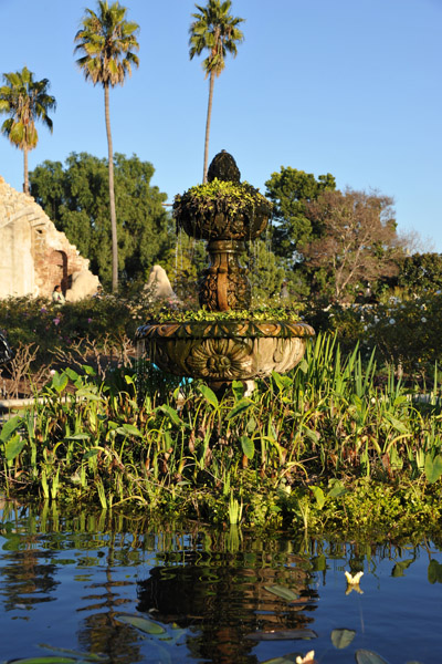 SanDiegoJan11 465.jpg