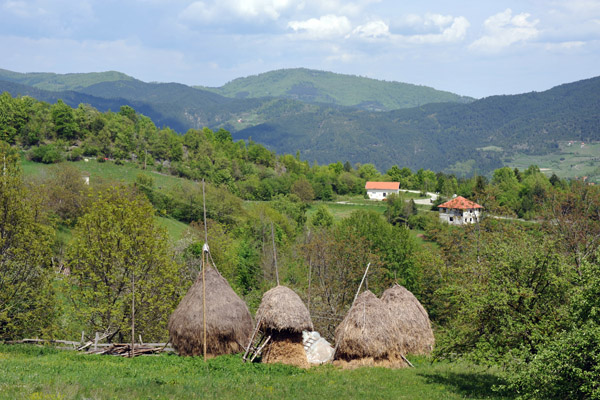 Haystacks along the dirt road between Rudno and Studenica Monastery