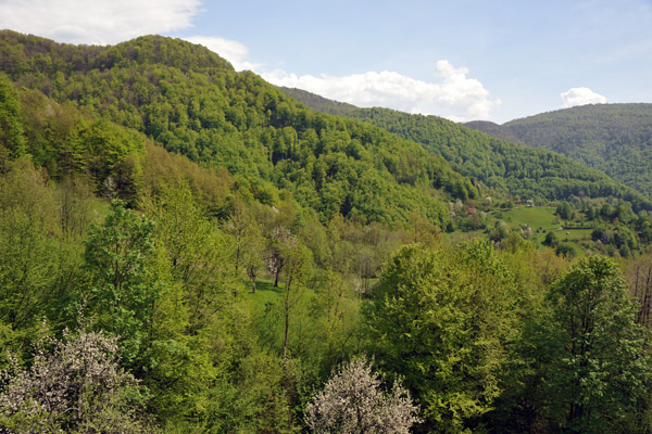 Lust forest covered mountains, part of the Dinaric Alps