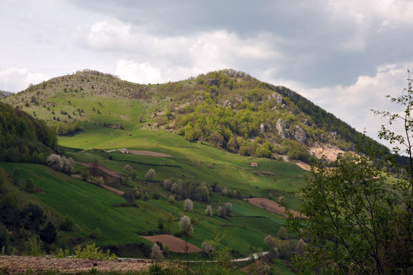 Zlatibor landscape