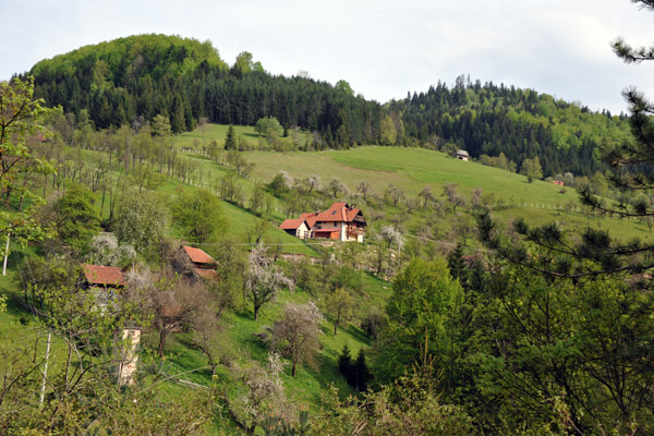 Green hills of Zlatibor, rural southwest Serbia