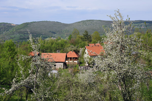 Springtime, Zlatibor