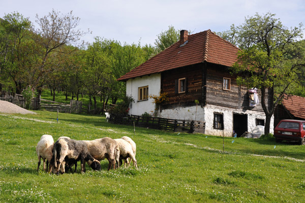 Animals grazing in front of an sturdy old farmhouse