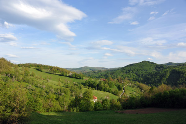 Zlatibor landscape