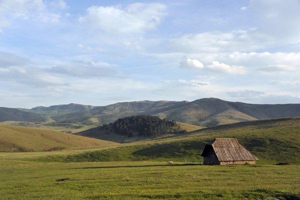 Lonely barn, Zlatibor