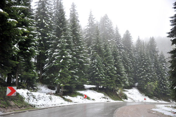 Trebević National Park with snow, May 2011