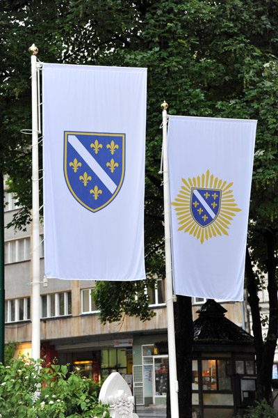 Flag of the Republic of Bosnia & Hercegovina 1992-1998