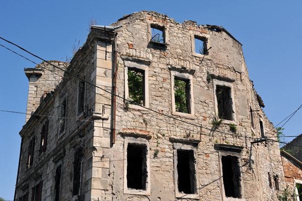 Large trees are already visible growing inside the ruins, Mostar