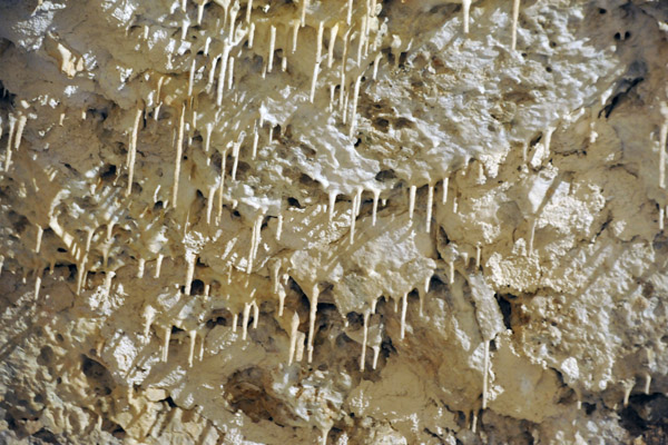 Tiny stalactites forming