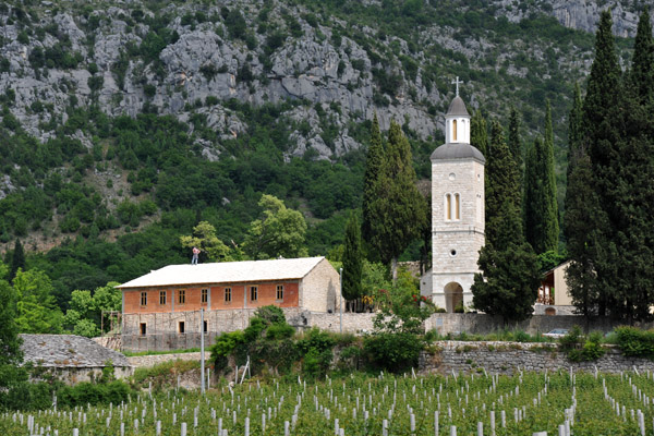 Zitomislic Monastery looks peaceful among the vineyards but it was destroyed by the Croats in 1941 and again in 1992