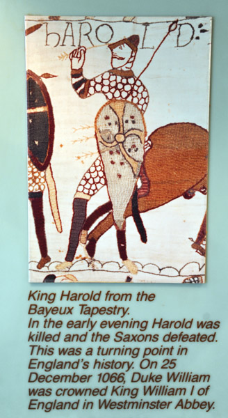 King Harold from the Bayeux Tapestry