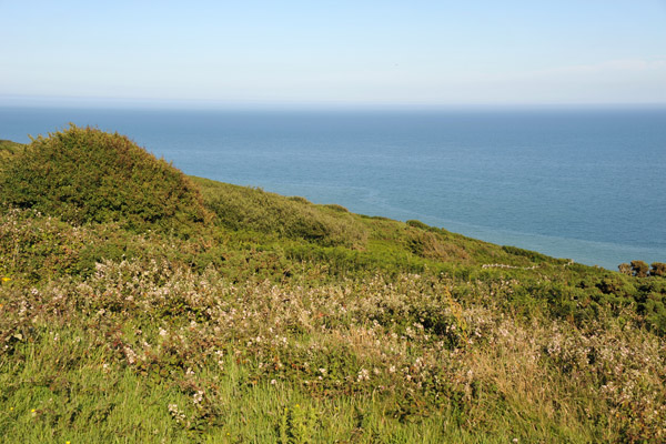 Hastings Country Park Nature Reserve