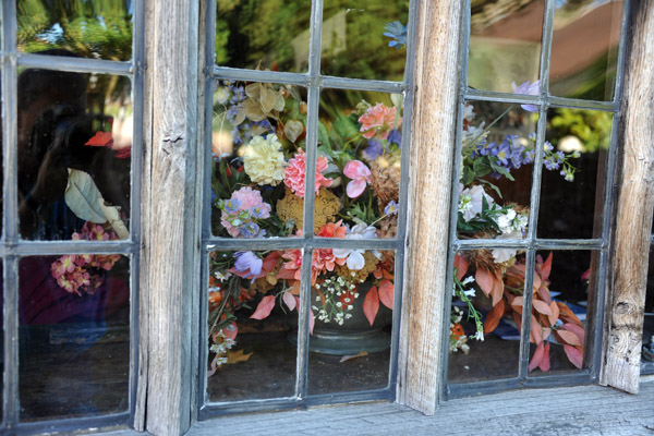 Flowers in an old window, Church Square, Rye
