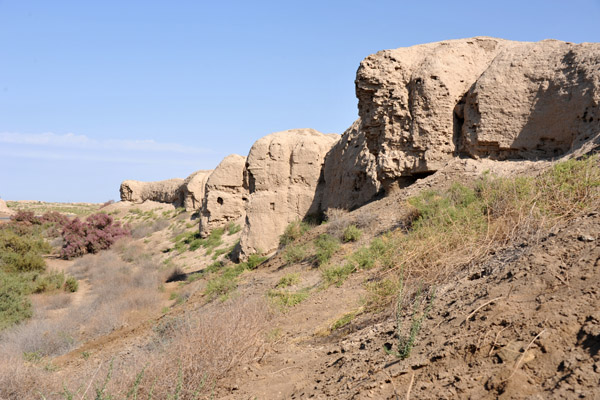 Walls of the Shahryar Ark, Merv