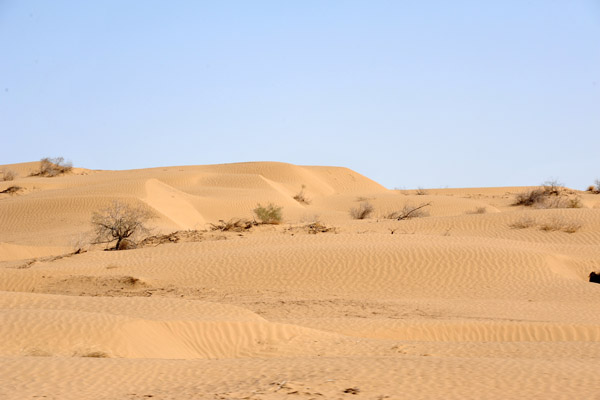 The Karakum Desert of Turkmenistan