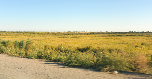 Flat plains of western Uzbekistan on the road to the Turkmenistan border at Dashoguz