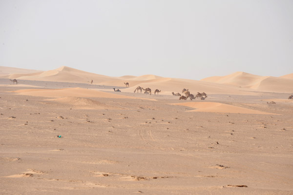 LiwaDec11 0196.jpg