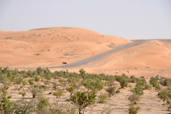 LiwaDec11 0231.jpg