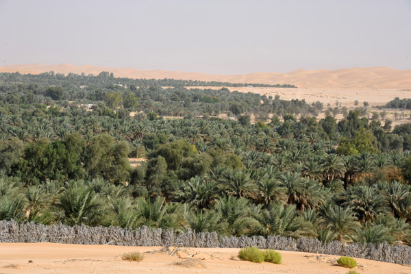 LiwaDec11 1333.jpg