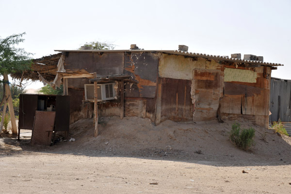 LiwaDec11 1344.jpg