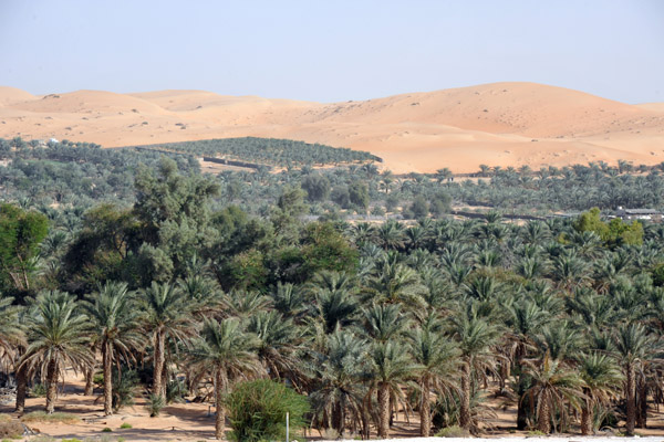 LiwaDec11 1360.jpg