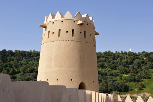 LiwaDec11 1402.jpg