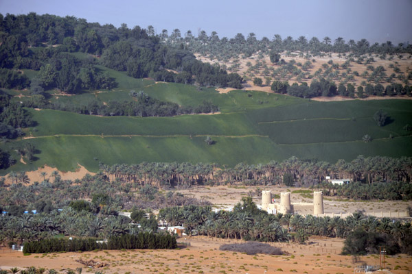 LiwaDec11 1433.jpg