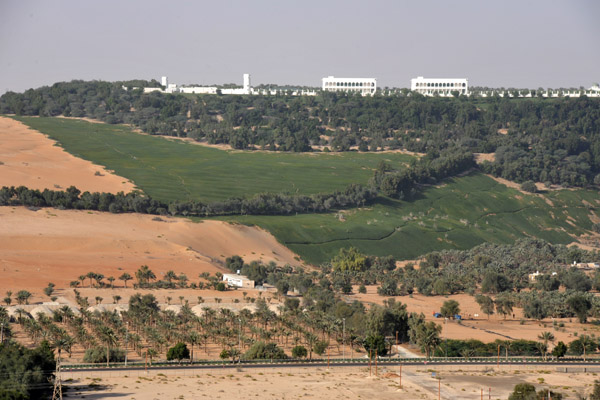 LiwaDec11 1434.jpg