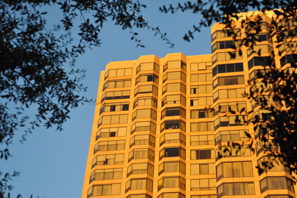 HoustonDec10 576.jpg