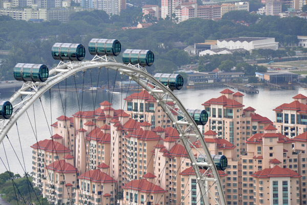 Singapore Flyer and Tanjong Rhu from the Sky Garden