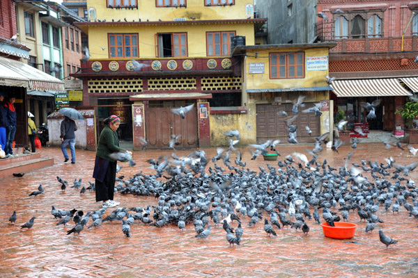 Feeding pigeons, Bodhnath