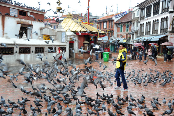 Chasing pigeons, Bothnath Stupa