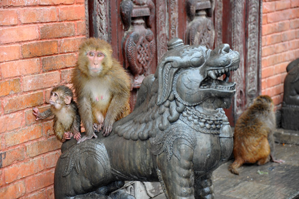 Macaque mother with a small baby riding the back of a lion at Swayambhunath