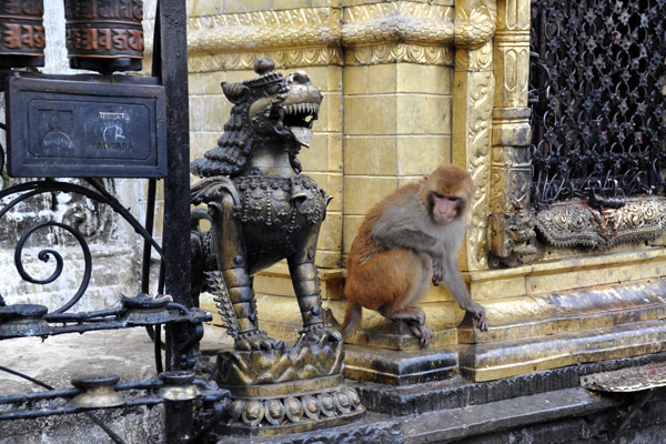 Lion and monkey, Swayambhunath