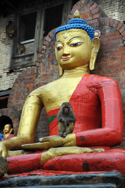 Monkey in the hand of Buddha, Swayambhunath