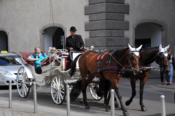 Carriage tour, Vienna