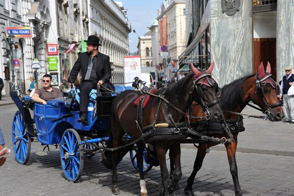 Another carriage tour, Vienna