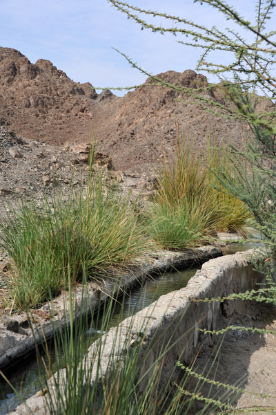 Falaj (irrigation channel), Oman