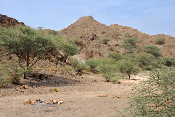 Desert around Hatta Pools