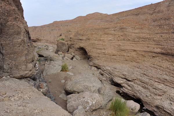 Canyon - Hatta Pools