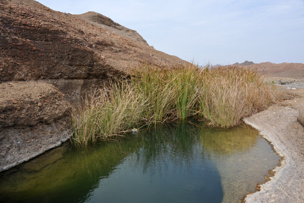 Inviting waterhole - Hatta Pools