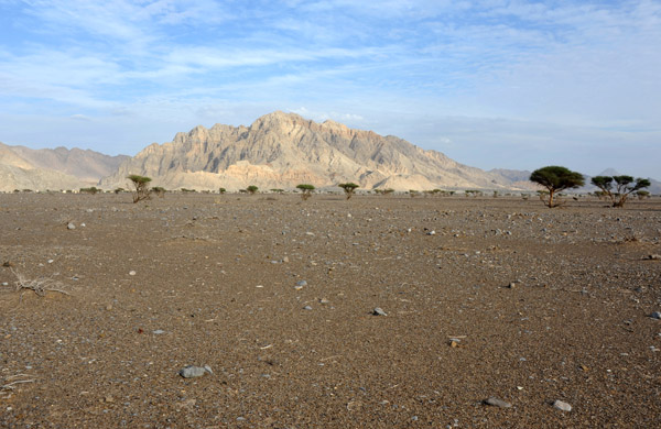 Broad valley of Wadi Sumayni