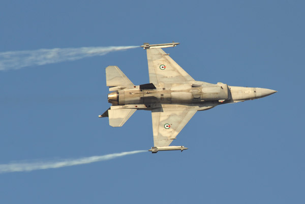 UAE Air Force F-16